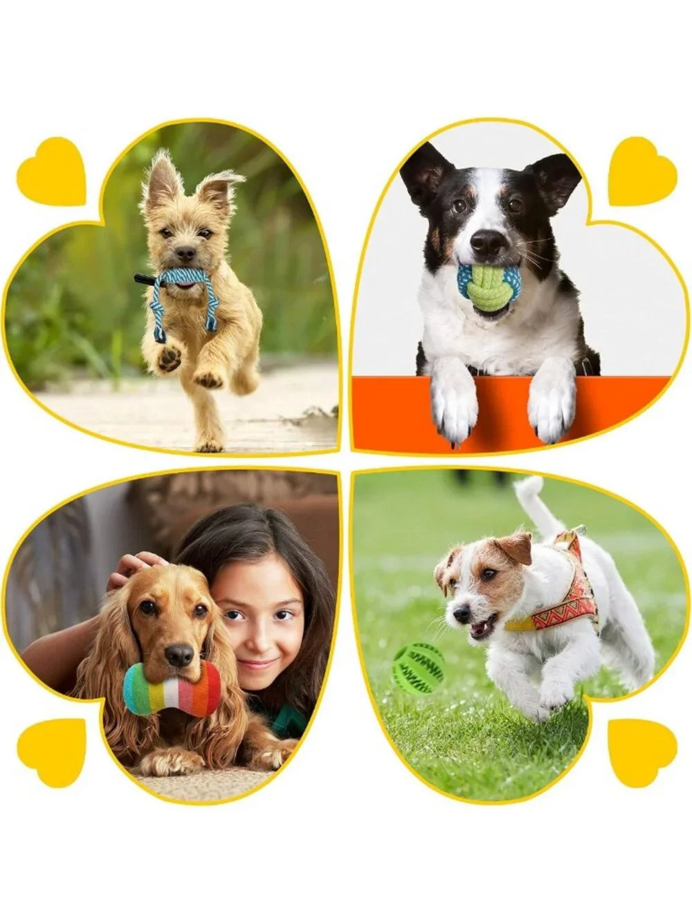 25 Pack Luxury Dog Chew Toys Set - Ropes, Treat Balls & Squeaky Toys for Puppies